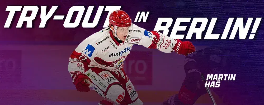 Eisbären statten Martin Haš mit Try-Out-Vertrag aus