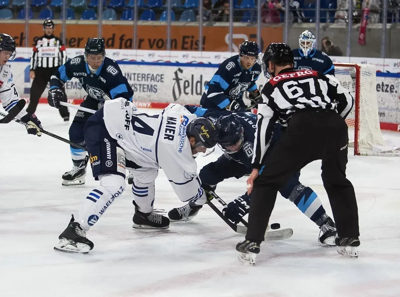 Roosters verlieren das Sachsenlotto-Finale gegen Liberec 1:2